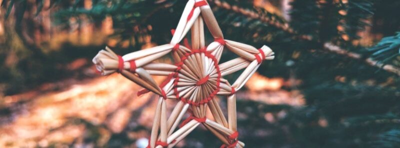 Як вибрати новорічну ялинку з найменшою шкодою для довкілля